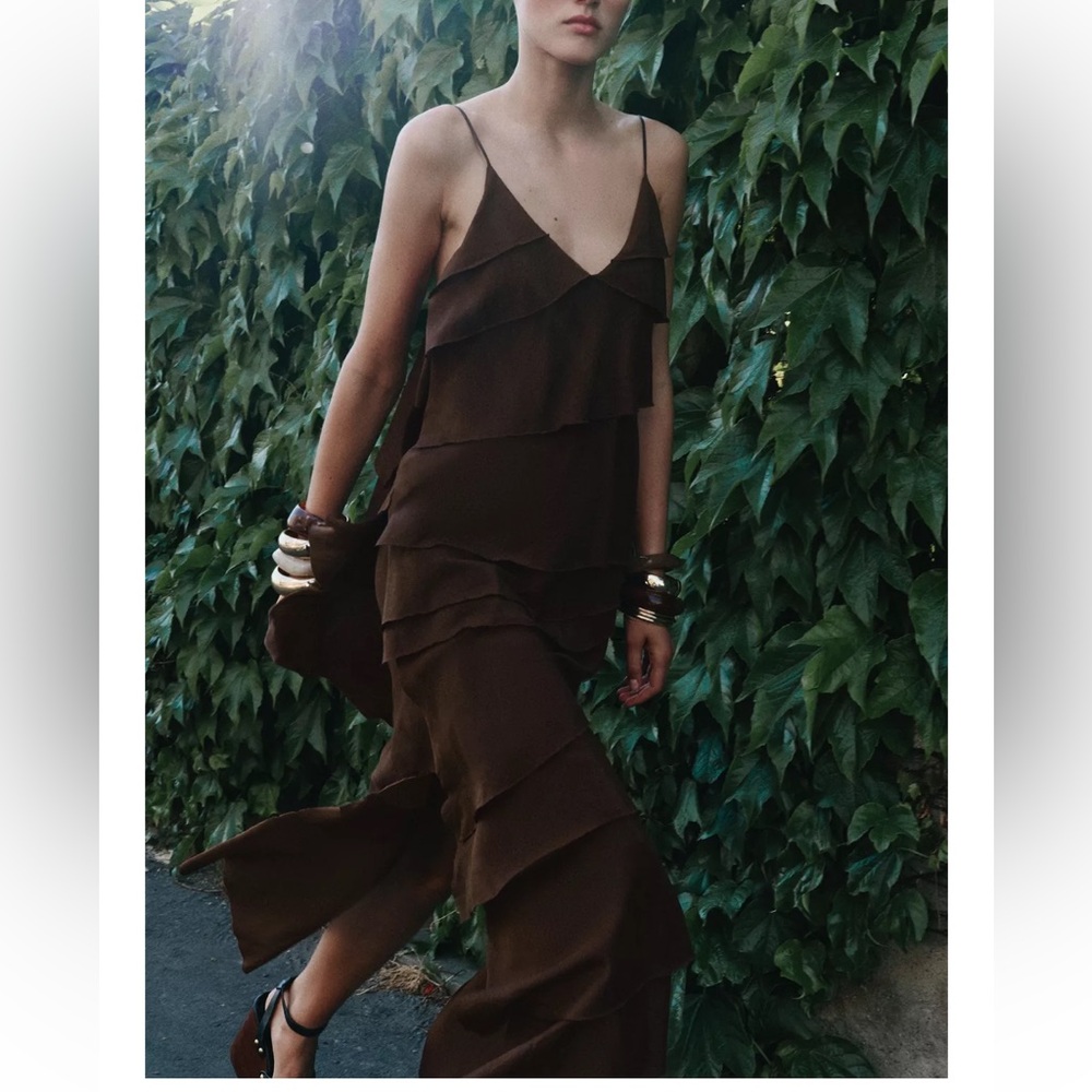 Zara Brown Maxi Dress